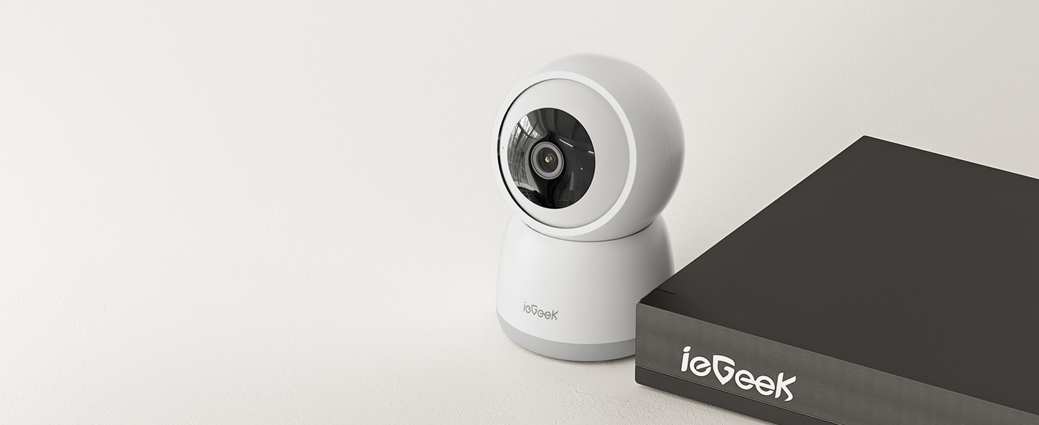 Works with ieGeek NVR