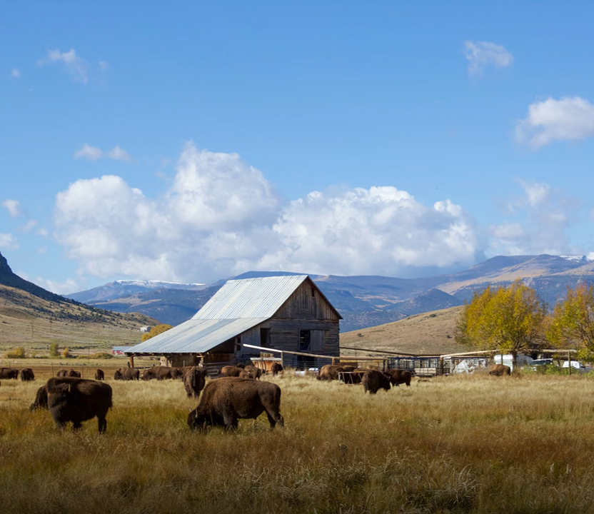 The Distance Barrier