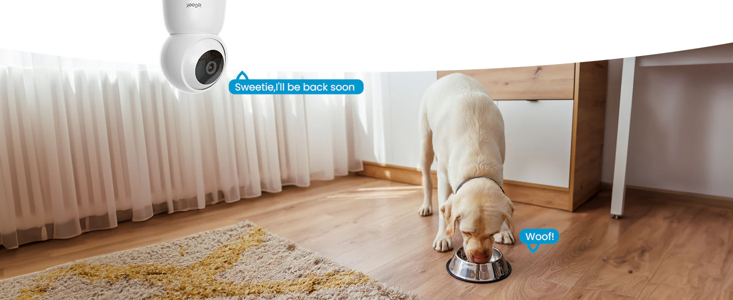 Two-Way Communication