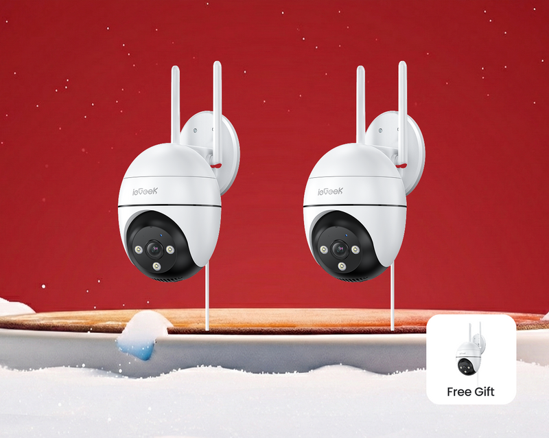 ieGeek Spotlight Camera ZS-GQ2