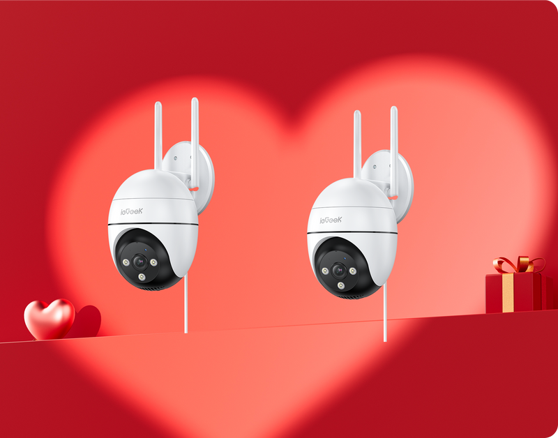 ieGeek Spotlight Camera ZS-GQ4