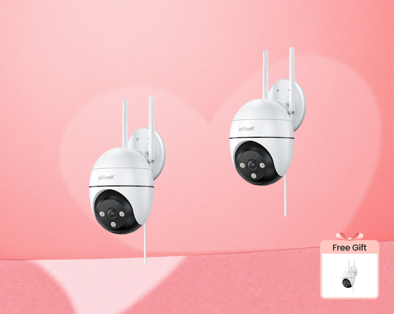 ieGeek Spotlight Camera ZS-GQ4