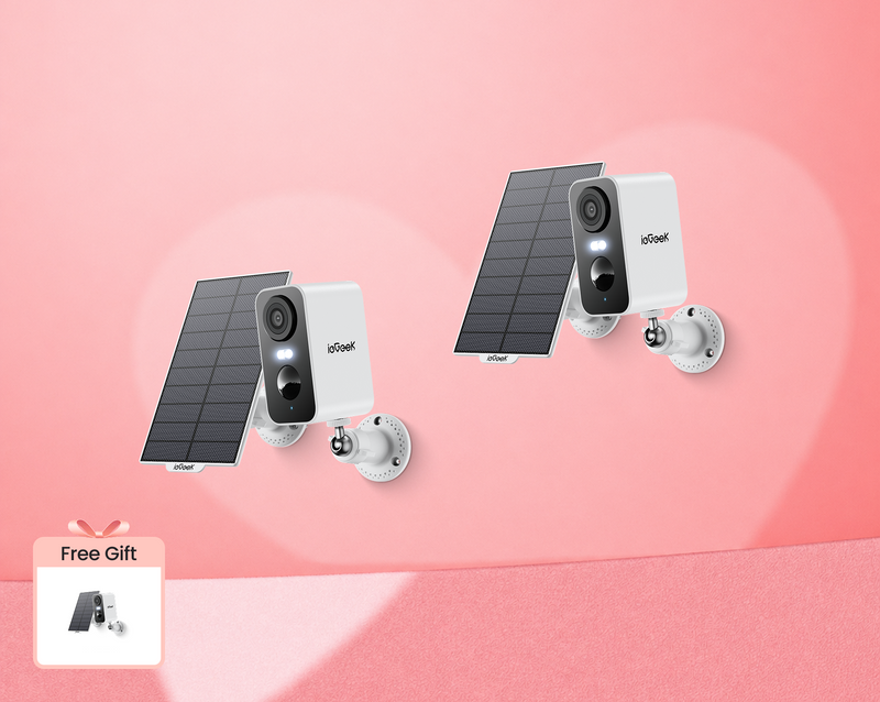 ieGeek Battery Security Camera ZY-C1