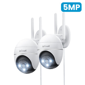 ieGeek Spotlight Camera ZS-GQ4