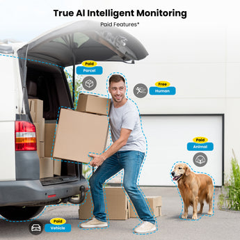 ieGeek AI monitoring technology with free human detection and paid parcel, animal, and vehicle detection features.